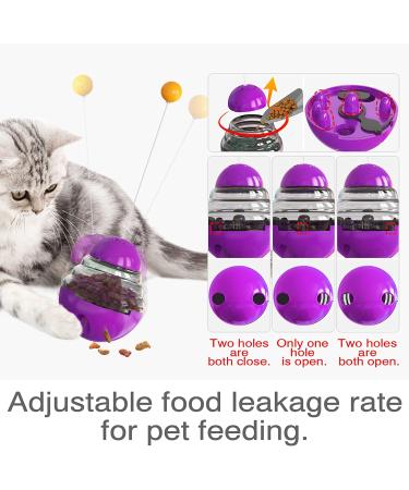 Interactive Cat Teaser Toy - Perfect Indoor Kitten Toy and Birthday Gift - Buy Online on GoSupps.com
