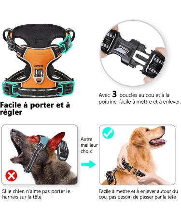Adjustable Breathable No-Pull Dog Harness for Small Dogs | Reflective Padded Handle | Heele Orange Dog Harness | Sizes 35-61cm - Buy Online on GoSupps.com