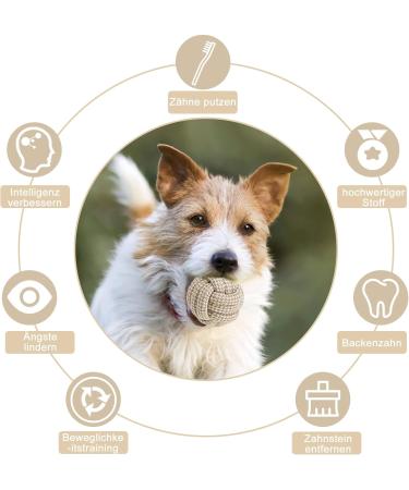 Yamitora 4-Piece Dog Toy Set | Interactive Cotton Rope Chewing Toys for All Dogs - Buy Online on GoSupps.com