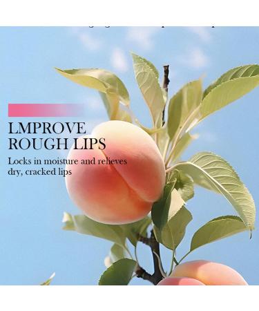 Lip Scrub and Mask Set Lip Sleeping Mask & Lip Exfoliator for Dark Lips Gently Exfoliate Polish & Repair Dry Flaky Lips Lip Treatment Kit(Peaches & Vitamin C) - Buy Online on GoSupps.com