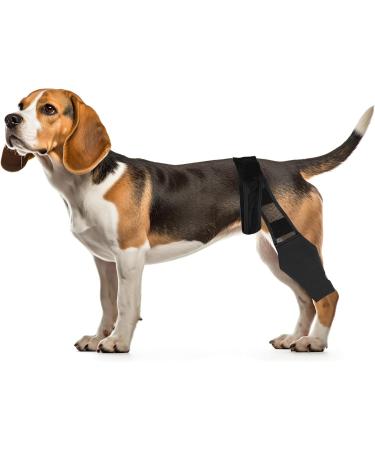 HSHGZSR Dog Knee Brace for Hind Leg Breathable Dog Leg Braces Comfortable Soft Dog ACL Brace Adjustable Pet Back Leg Support Brace for Supporting Dogs with Torn ACL Muscle Hind Leg Joint Discomfort Black L - Buy Online on GoSupps.com