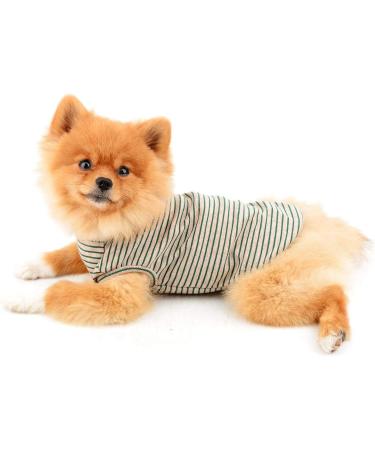 Paidful British Little Dog Shirt | Striped Cotton T-Shirt for Boys | Soft Summer Vest for Puppies & Cats | Chihuahua & Yorkie Clothing - Green L (30cm/42cm) - Buy Online on GoSupps.com