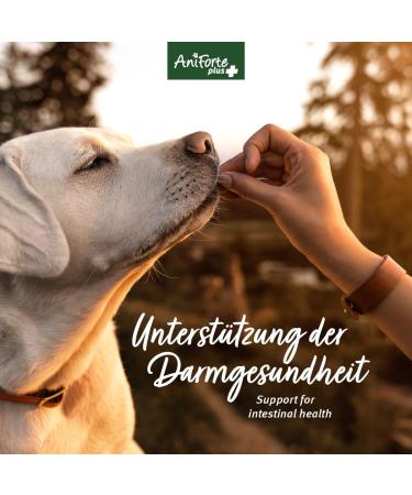 Aniforte Plus Probiotic Tabs for Dogs - 90 Natural Prebiotic & Probiotic Tablets for Healthy Digestion & Intestinal Flora - Buy Online on GoSupps.com