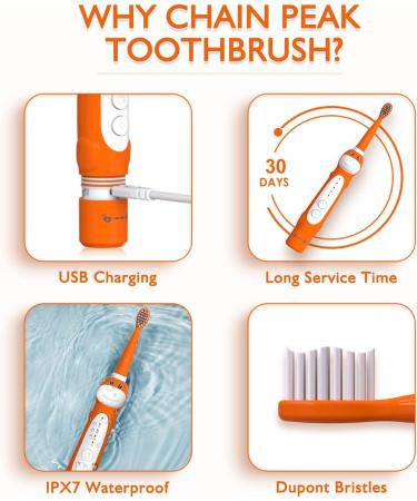 Dinosaur Electric Toothbrush for Kids | Sonic Toothbrush with Timer & Reminder | 5 Modes + 4 Brush Heads | Rechargeable & Wall-Mounted Holder | Ages 3-12 - Buy Online on GoSupps.com