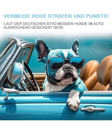 Leopets Dog Seat Belt for Car | Universal Fit for All Dog Sizes 30cm - 90cm | Safety Carabiner & Reflective Design - Red - Buy Online on GoSupps.com