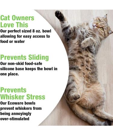 Van Ness Pets EcoWare Whisker-Friendly Cat Bowl - Wide Dish, 8 oz, Fuschia - Buy Online on GoSupps.com