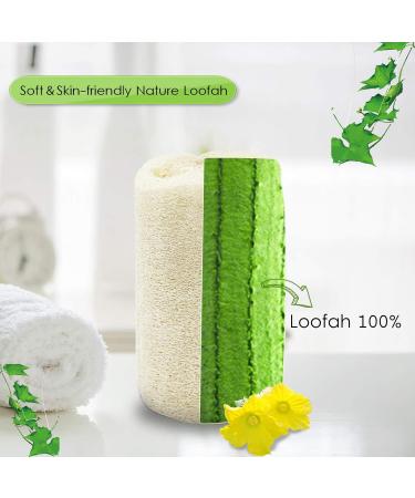 Shellvcase Loofah Back Scrubber on a Stick with Natural Sponge | Exfoliating Body Scrubber for Men & Women | Long Wooden Handle | 2 Pack - Buy Online on GoSupps.com