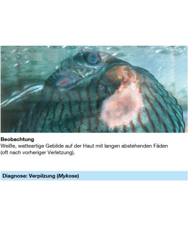 Sera Med Professional Protazole 100 ml - Effective Treatment for Fish Skin Parasites | Aquarium Medicine - Buy Online on GoSupps.com
