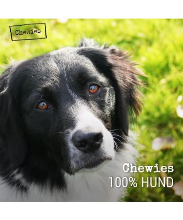100% Natural Chewies Chewing Root for Dogs - Durable & Safe Dog Toy for Small Dogs (Up to 10kg) | Baumheide Wurzel - S (1 Pack) - Buy Online on GoSupps.com