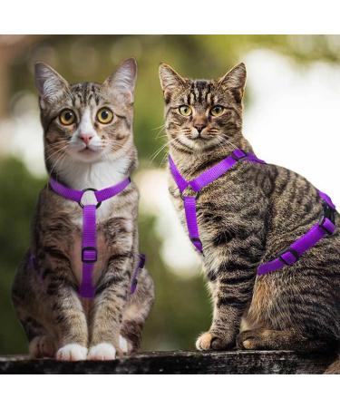 Adjustable Cat Harness for Small, Medium, Large Kittens - Purple - No Pull Pet Harness - Buy Online on GoSupps.com