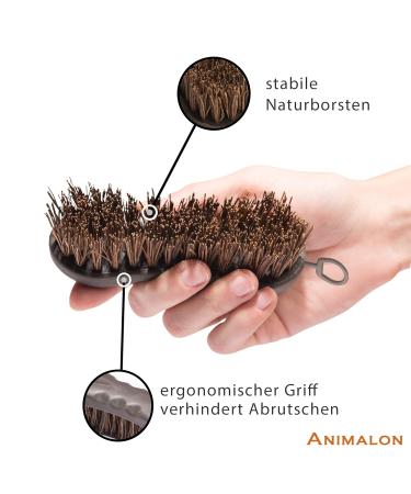Animalon Hoof Brush for Horses | Premium Hard Natural Bristles | Essential Hoof Care Tool | Durable Small Root Brush for Cleaning & Grooming - Buy Online on GoSupps.com
