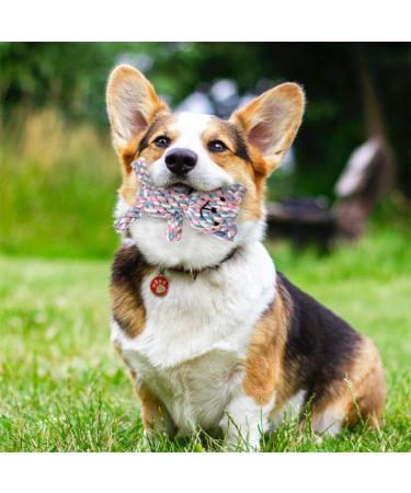 MEKEET Puppy Boredom Rope Toy - Natural Teeth Cleaning Chew Rope for Small Dogs - Bear Design - Buy Online on GoSupps.com