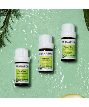 Buy Pranarom Clove Bud Essential Oil 5ml - Natural Aroma & Wellness - Buy Online on GoSupps.com