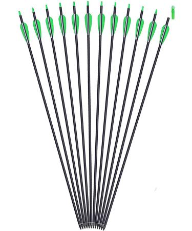 12-PK GPP Archery 30-Inch Carbon Arrows for Recurve & Compound Bow - Green Vanes - Buy Online on GoSupps.com