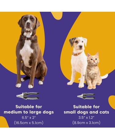 Dudi Pet Claw Scissors for Dogs Cats Rabbits & Guinea Pigs - Safe Nail Cutter Set with Claw Grinder - Small Black/Gray - Buy Online on GoSupps.com