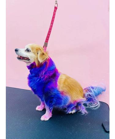 Umieo Dog Hair Dye Semi Permanent - Purple Pet Hair Color for Vibrant & Safe Results - Buy Online on GoSupps.com