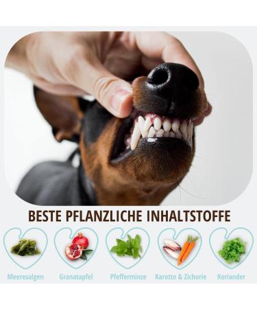 PetLove Dentavit Dental Care Powder for Dogs & Cats | Natural Tartar Remover & Bad Breath Solution - Buy Online on GoSupps.com
