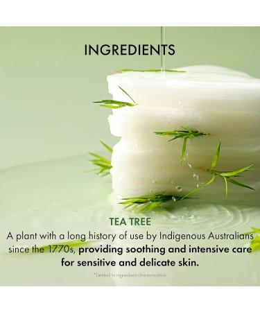 Dr.Ceuracle Tea Tree Purifine Toner Pad - Korean Skincare Mild Exfoliating and Pore Care Double-Textured Face Pads with PHA Zinc PCA Niacinamide (60 Pads) - Buy Online on GoSupps.com