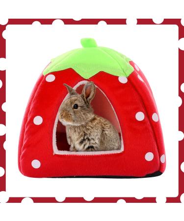 Kuoser Small Animal Winter House | Non-Slip Strawberry Hedgehog Bed | Removable Pad | Guinea Pig, Hamster, Chinchilla, Ferret, Rabbit House - Buy Online on GoSupps.com
