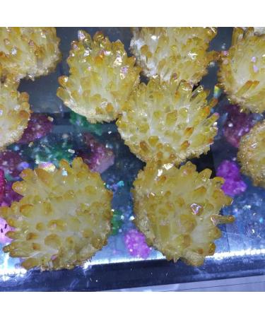 1pcs300-700gNatural Cluster Electroplated Yellow Cluster Reiki Stone Tip House Decorative Can be Used for (Size : 500-600g) HOMEZHOU (Size : 600-700g) - Buy Online on GoSupps.com