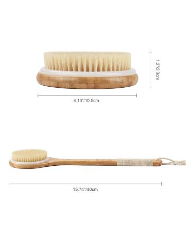 3-Set Back Brush & Dry Brush - Natural Peeling Limestone & Pumice Stones for Foot Care | Long Stem Body Brush for Peeling & Massage - Buy Online on GoSupps.com
