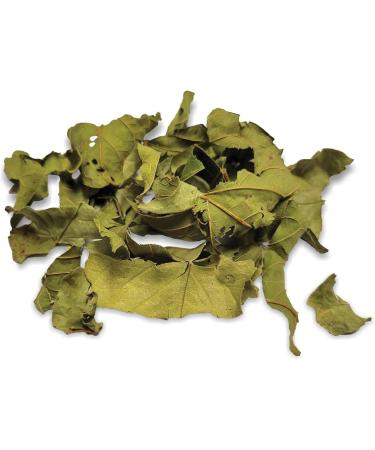 Living World Green Botanicals Dried Leaf Treat - Guava Leaves - 10 g (0.35 oz) - Buy Online on GoSupps.com