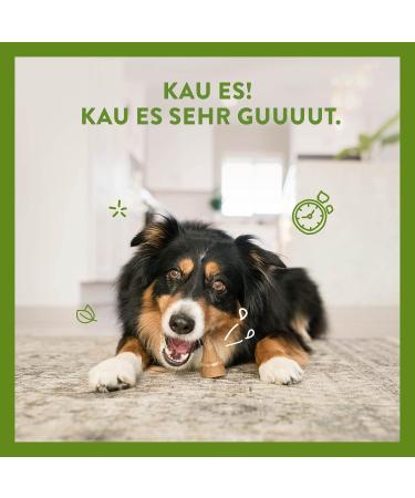 Whimzees Antler Chews for Medium Dogs | Natural Grain-Free Calming Snack | 12 Pieces - Buy Online on GoSupps.com