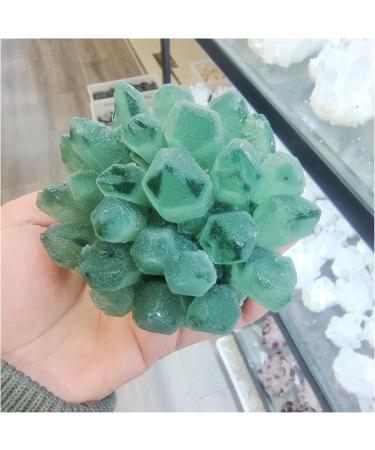 Natural Crystal Rough Crystal Cluster 300-1000g Natural Green Ghost Phantom Quartz Crystal Cluster Specimen (Size : 900-1000g) - Buy Online on GoSupps.com