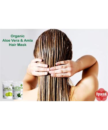 Organic Aloe Vera Powder Aloe Barbadensis for Cooling Face and Hair Mask Natural Moisturizer ONE Resealbale Pack of 8 oz/223 Gram 8.0 ounces - Buy Online on GoSupps.com