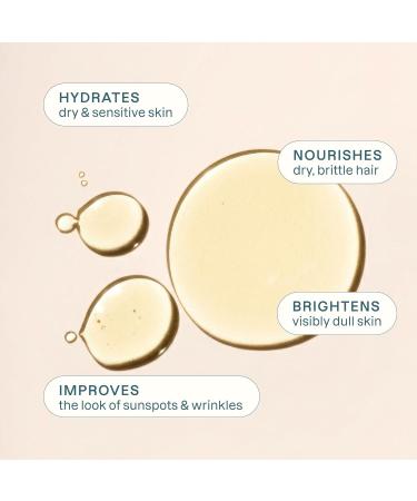 Cliganic Organic Apricot Oil 100% Pure (16oz) - For Skin Hair & Face | Natural Cold Pressed Unrefined 16 Fl Oz (Pack of 1) - Buy Online on GoSupps.com