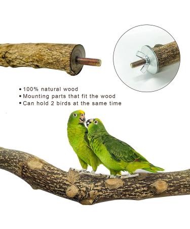 5 PCS Bird Parrot Perches for Cage 9.84 inches Natural Wood Perch Platform Stand for Parrots Birds Cage Parakeets Cockatiels Conures Cages Accessories (5 PCS) - Buy Online on GoSupps.com