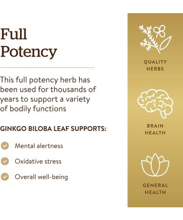 Solgar Ginkgo Biloba Leaf Extract 180 Capsules - Brain Health & Mental Alertness Support - Non-GMO Vegan Gluten Free - 180 Servings - Buy Online on GoSupps.com