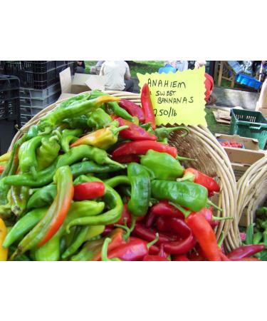 Pepper Anaheim Hot Chile Pepper 150 semi! Groco