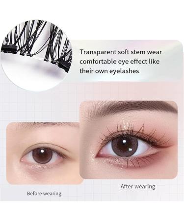 Lumentes Magnetic Eyelashes Magnetic Eyelashes Natural Look Eyelashes Magnetic Lashes Reusable Magnetic Eyelashes Magnetic False Eyelashes no Glue Natural Look (# 6) - Buy Online on GoSupps.com