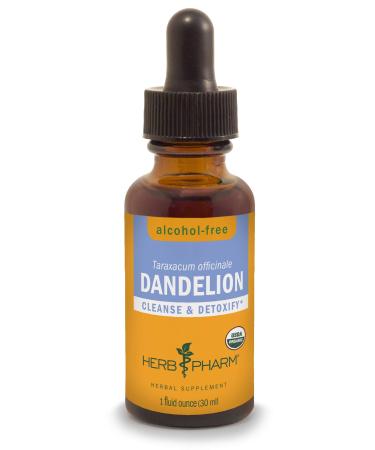 Herb Pharm Certified Organic Dandelion Liquid Extract for Cleansing and Detoxification, Alcohol-Free Glycerite, 1 Ounce 1 Fl Oz (Pack of 1) Alcohol-free Glycerite