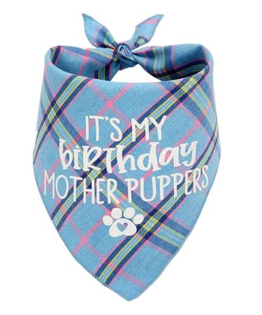 Dog Birthday Bandana, Birthday Boy Puppy Bandana for Small Medium Large Dogs Blue