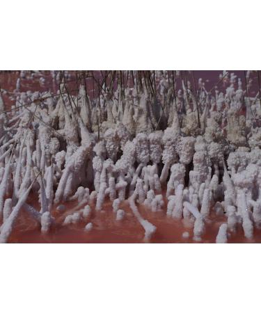 SIVASH Natural Unrefined Sea Bath Salt 1 kg - Buy Online on GoSupps.com