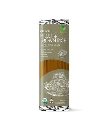 Big Green Organic Millet & Brown Rice Angel Hair Pasta 8.8oz - Gluten-Free, Non-GMO - Buy Online on GoSupps.com
