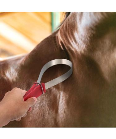 Lixada Stainless Steel Equine Sweat Scraper - Horse Shedding Grooming Tool - Buy Online on GoSupps.com