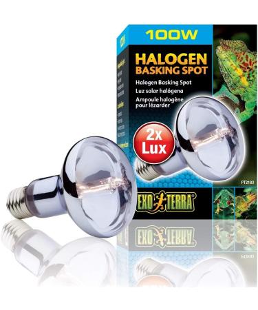 Exo Terra Halogen Basking Spot Bulb 100 W - Buy Online on GoSupps.com