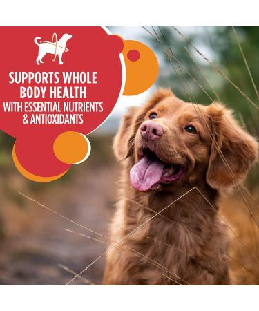 IAMS Proactive Health Adult Dry Dog Food + IAMS Puppy Dry Dog Food Chicken and Whole Grains Bundle 13.6 kg Dog Food + Dog Food 6.80kg - Buy Online on GoSupps.com