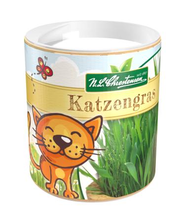 Premium cat grass seeds Chrestensen Garden Children grass seeds quick-germating with instructions for children 1 can for approx. 2-2.5 m of cat grass natural cat treats at home cat grass seeds with instructions for children