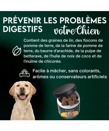 Disane Natural Probiotics for Dogs | Food Supplement for the Improvement of Intestinal Flora Digestive Well-Being and Diarrhea | 60 Units - Buy Online on GoSupps.com