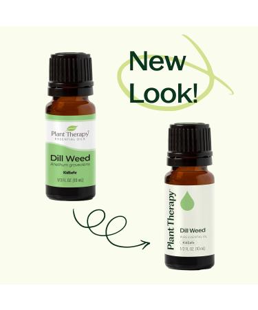 Plant Therapy Dill Weed Essential Oil 10 mL (1/3 oz) 100% Pure Undiluted Therapeutic Grade 0.34 Fl Oz (Pack of 1) - Buy Online on GoSupps.com