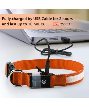 Buy Luminous LED Dog Collar - Waterproof 7 Color Adjustable Light for Night Safety | Fits Small to Large Dogs (28-40cm) - 2022 Edition - Buy Online on GoSupps.com