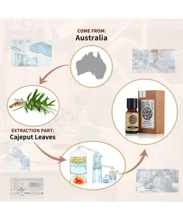 Akarz Premium Cajeput Oil - Therapeutic Bio-Rein for Skin Hair & DIY Projects (10 ml) | Essential Oil for Diffusers Candles & Massage - Buy Online on GoSupps.com