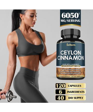 Ceylon Cinnamon 6in1 Supplement 6050mg with Apple Cider Vinegar, Turmeric, Ginger, Panax Ginseng - 120 Vegetarian Pills for Energy and Body Balance - Buy Online on GoSupps.com