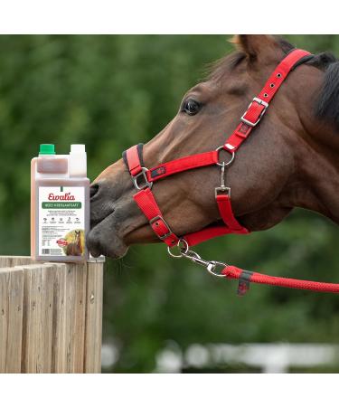Ewalia Cardiovascular Juice - Optimal Dietary Supplement for Horses Promotes Heart Health Natural Circulatory System Support 100% Herbal Formula 2 x 1 Litre - Buy Online on GoSupps.com