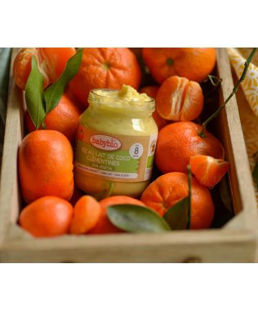 BABYBIO - Small Jars Coconut Milk Clementines from Corsica - ORGANIC - 8+ months - 2x130g - Pack of 6 - Buy Online on GoSupps.com