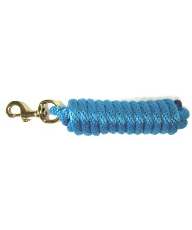 Hamilton Poly Leash with Snap Hook Ocean Blue